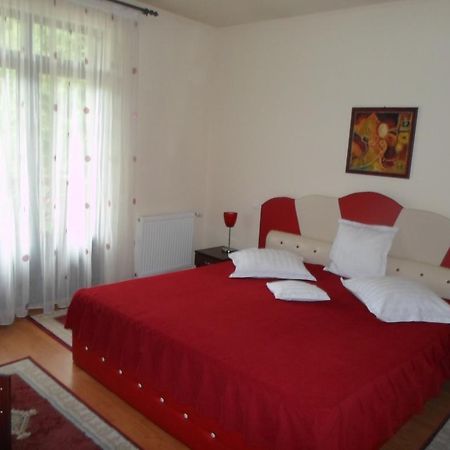 Pensiunea Speranta Otel Sovata Dış mekan fotoğraf