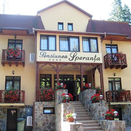 Pensiunea Speranta Otel Sovata Dış mekan fotoğraf