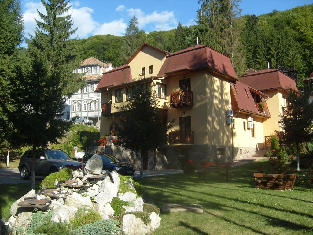 Pensiunea Speranta Otel Sovata Dış mekan fotoğraf