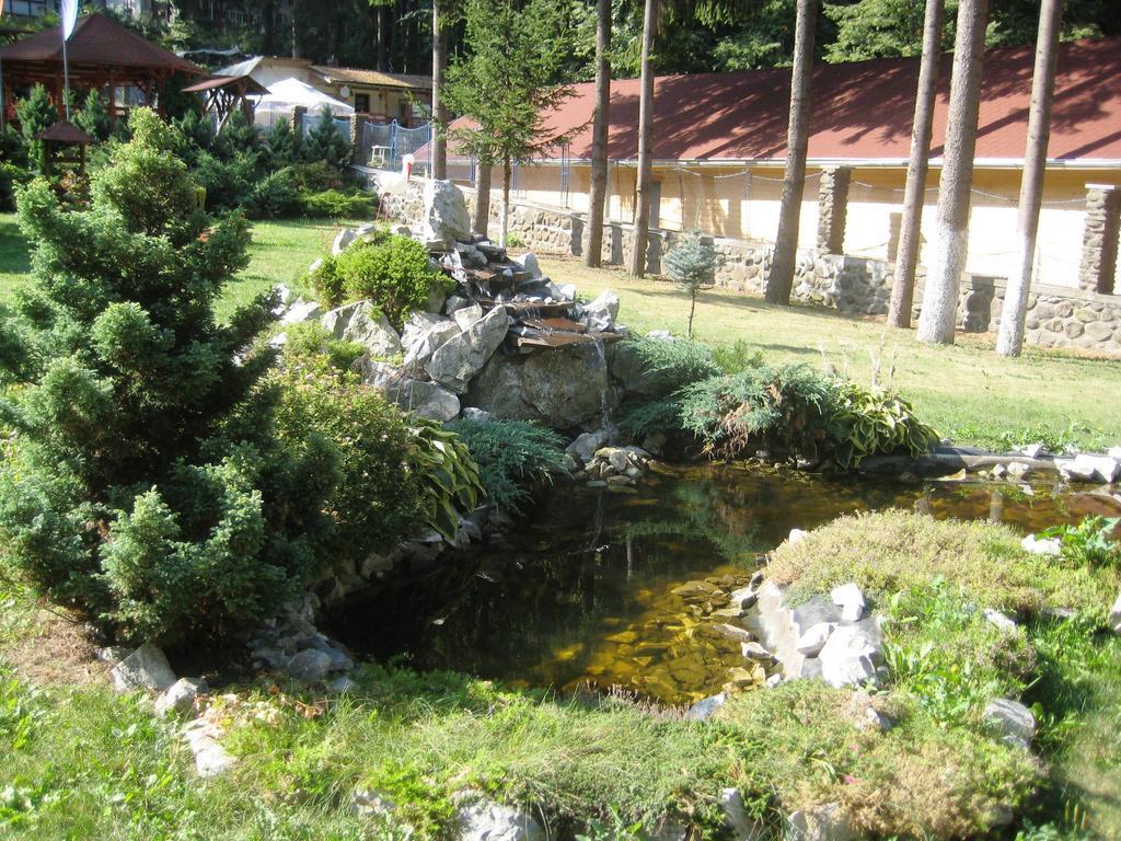 Pensiunea Speranta Otel Sovata Dış mekan fotoğraf